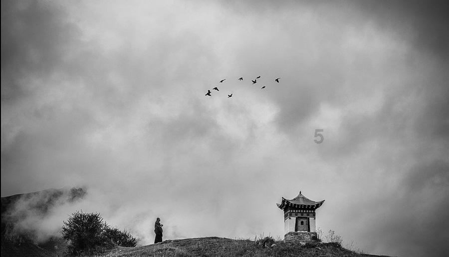 58问答平台为什么女人强了就没有男人什么事了?,解决你的疑问!
